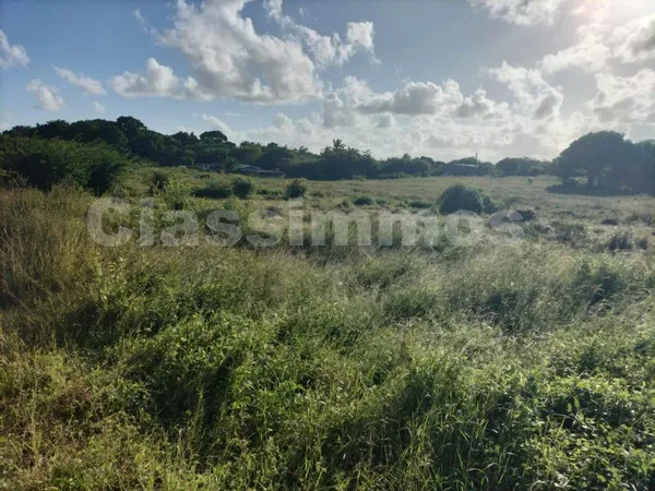 Terrain 700 m²