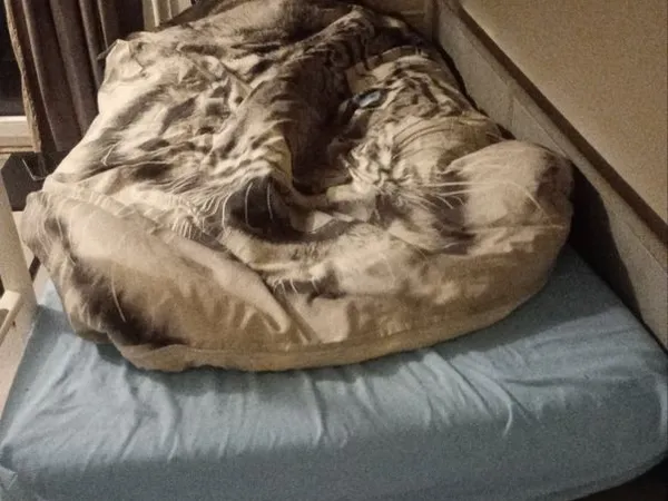 Chambre à partager entre hommes