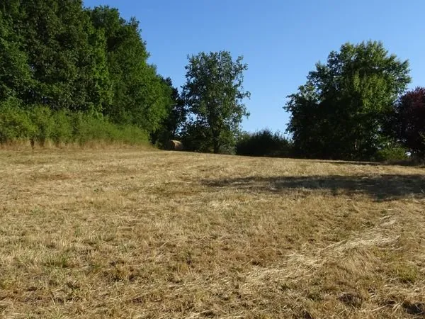 Terrain constructible