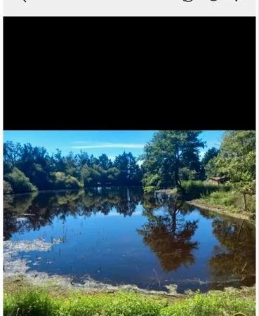 Plan d'eau Vente Le Controis-en-Sologne  6000m² 19000€