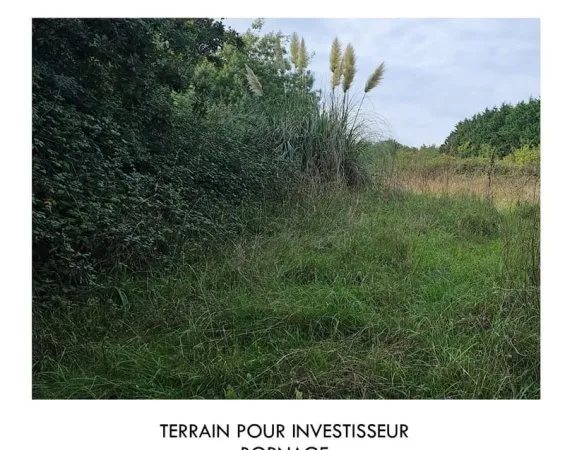 A VENDR TERRAIN PROCHE MER