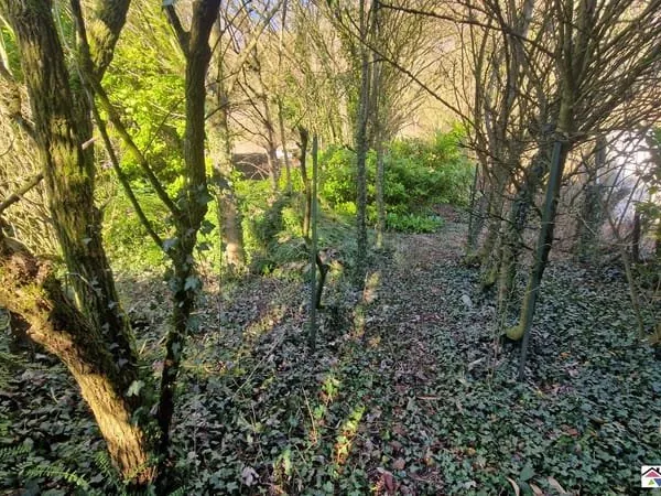 Terrain 708 m²