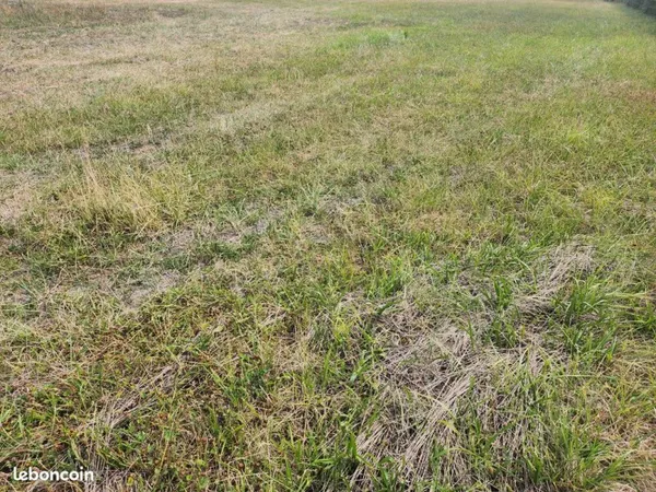 Terrain 725 m² Balbigny
