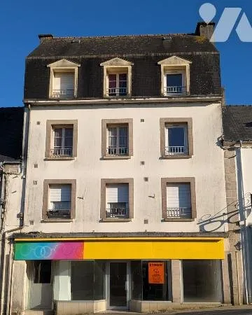 Immeuble de rapport 12 pièces 300 m²