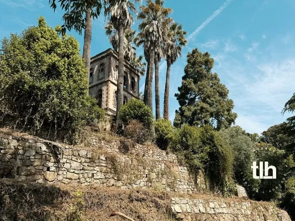TERRAIN À VENDRE - VALLAURIS 6828m2 - Vue mer exceptionnelle