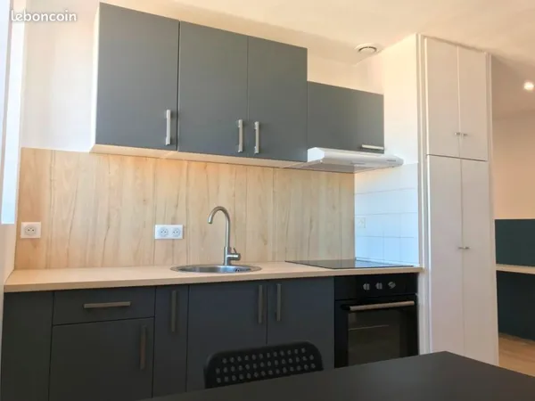 Grand T2 de 48 m² rénové quartier St Martin