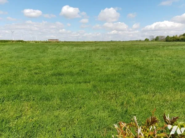 Terrain 2000 m²