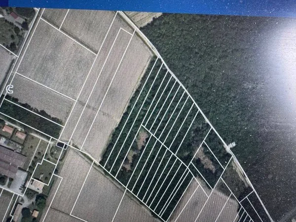 Terrain boisé 2990 m²