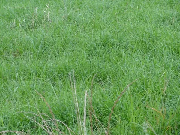 Terrain à bâtir à CAMORS