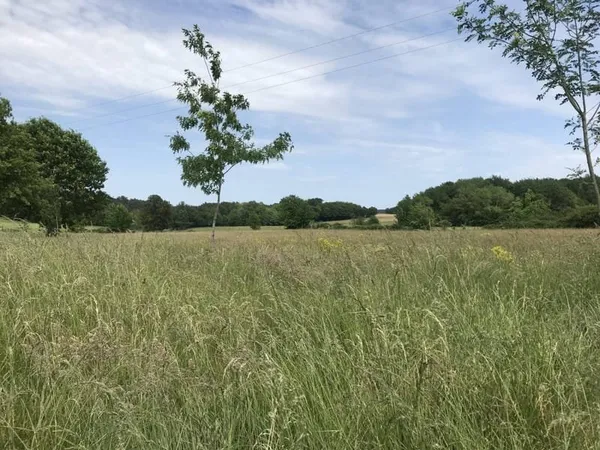 Terrain constructible 2000 m²