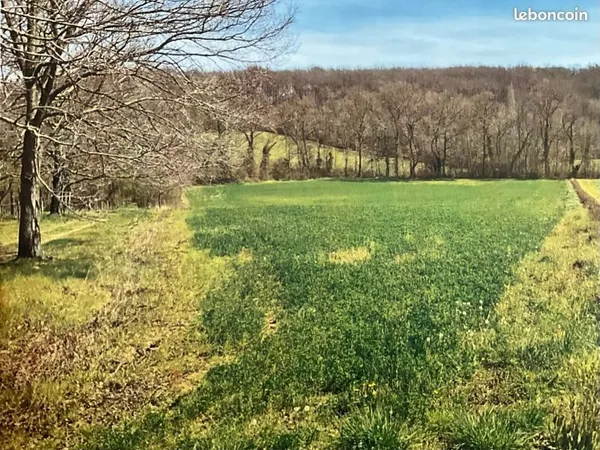Vend terrain bordure route et ruisseau 1 hectare 300
