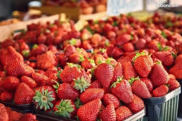 Vend commerce fruits et légumes sur marché