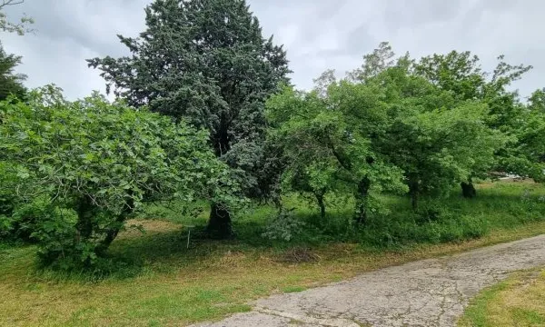Terrain constructible 660 m² - Saint-Georges-les-Bains
