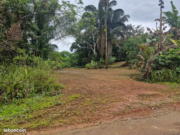 Terrain constructible