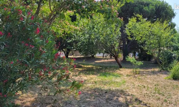 TERRAIN CONSTRUCTIBLE ARBORÉ - ÎLE D'OLÉRON - 815 m² - À 10 MIN À PIED DE LA PLAGE