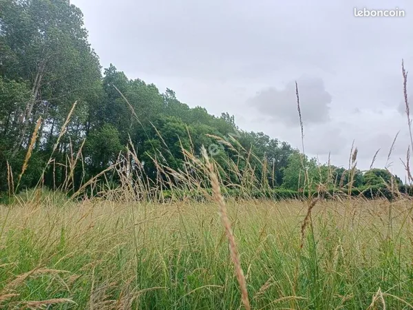 Terrain 600 m² Saujon