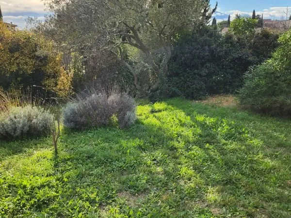 Terrain 402 m2 MUS -