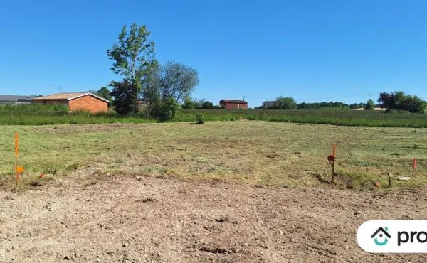 Terrain constructible de 1 240 m²