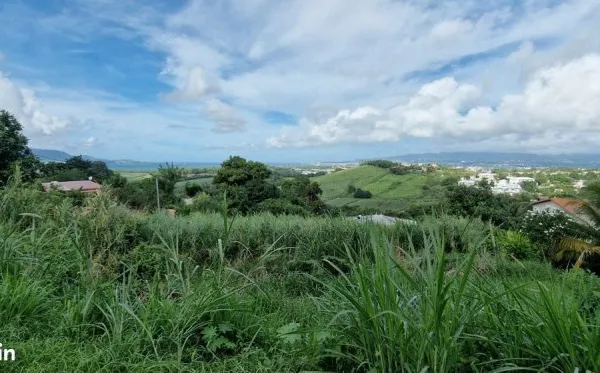 Terrain 2159 m² Ducos