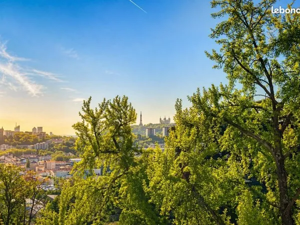 Appartement T3 entièrement rénové