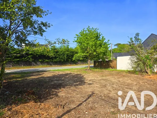 Terrain 317 m²