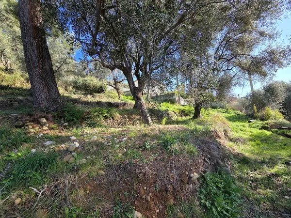 Terrain en individuel 1000 m²