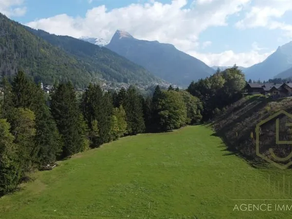 Terrain A Batir - Montriond - Stations Des Portes Du Soleil