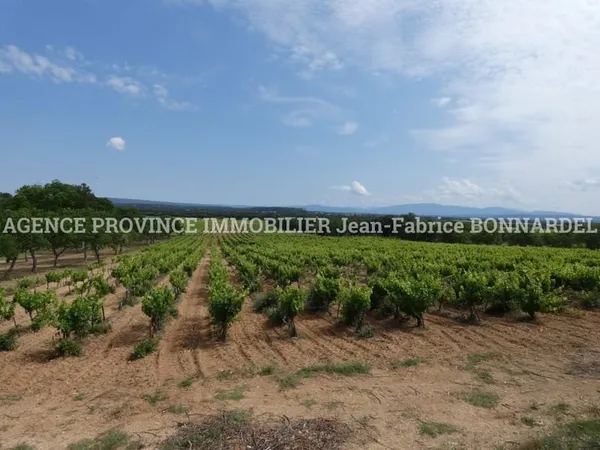 PARCELLE DE VIGNES CEPAGE GRENACHE ET CARIGNAN