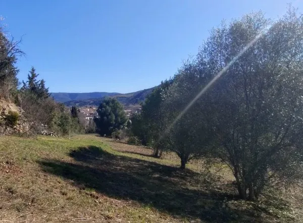 terrain constructible
