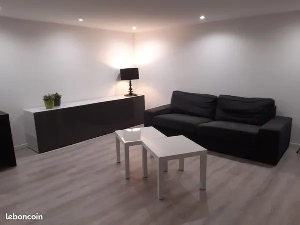 A louer - Appartement 2 pièces meublé - Strasbourg hypercentre (Gutenberg / Cathédrale) - 55 m