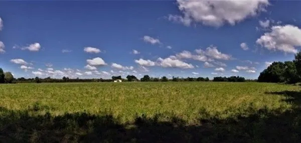Terrain agricole plat d'un seul tenant de 11,93 hectares