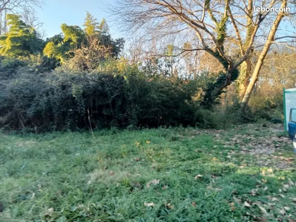 A louer plusieurs terrains et forêts ex à SIEST 40180 ou en Moselle