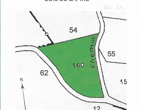 Parcelle boisée AE160