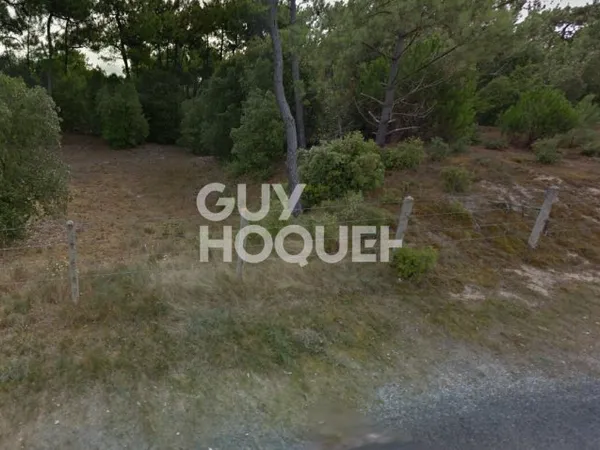 Terrain Saint Hilaire De Riez 1100 m2
