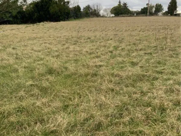 Terrain constructible 1184m2