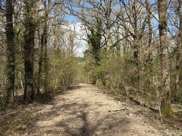 A vendre territoire de chasse au coeur de la Sologne