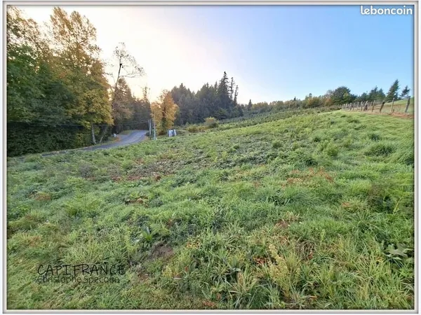 Terrain 1 520 m² Celles Sur Durolle