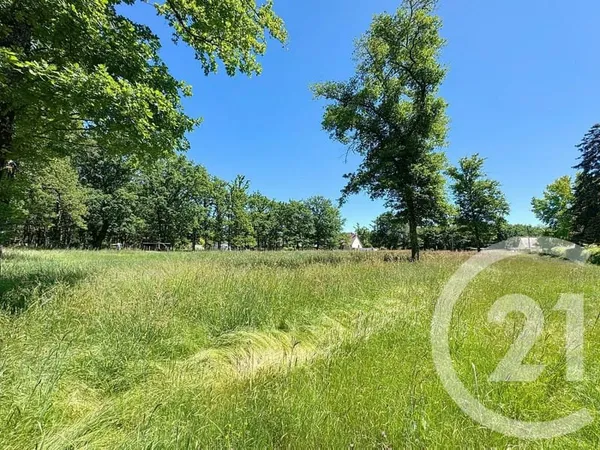 Terrain 11762 m²