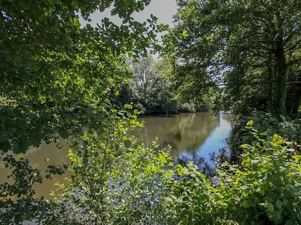 Terrain 12453 m²