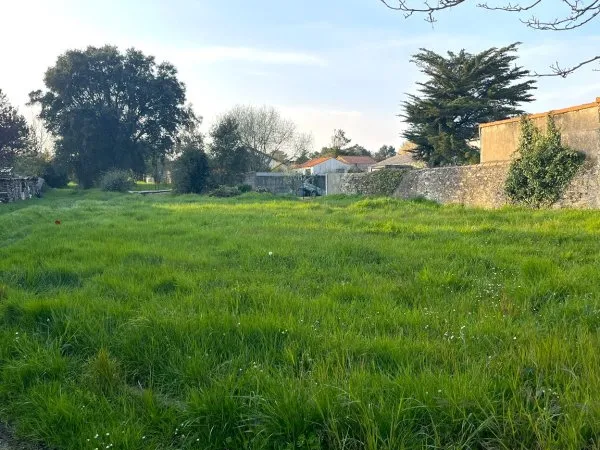 Terrain 224 m²
