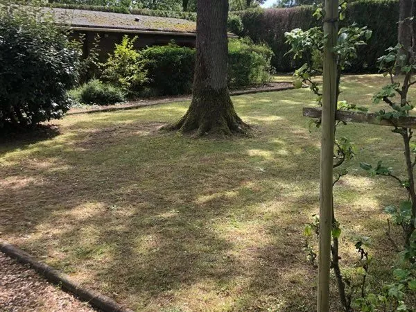 Terrain constructible