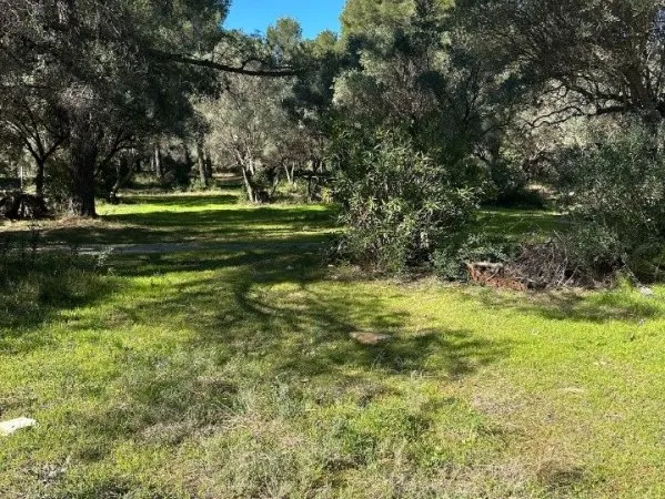 Terrain 2265 m²