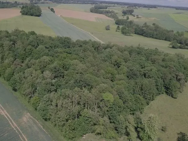 Bois de 5.7 ha