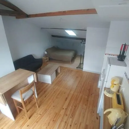 Studio meublé à Lyon 7e