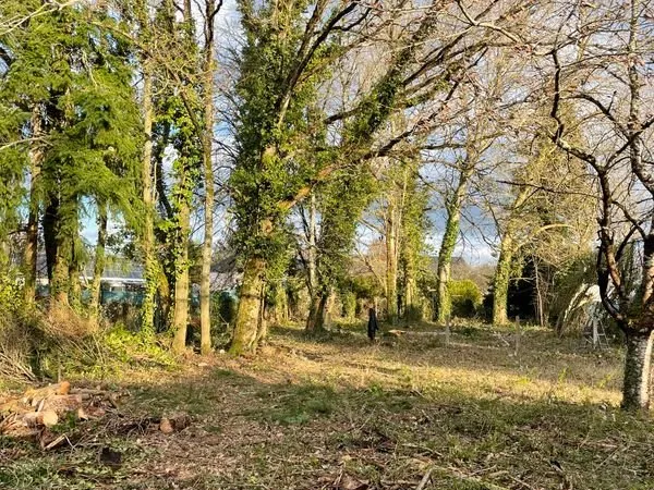 Terrain arboré 1263m²