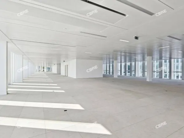 Bureau 982 m²
