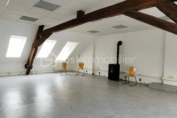 Hôtel particulier 15 pièces 413 m²