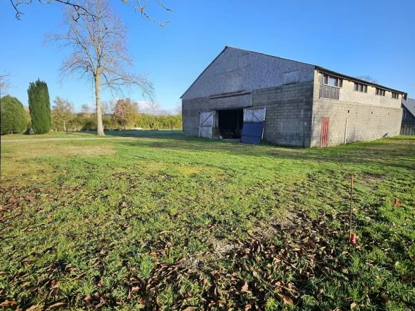Local 600 m²