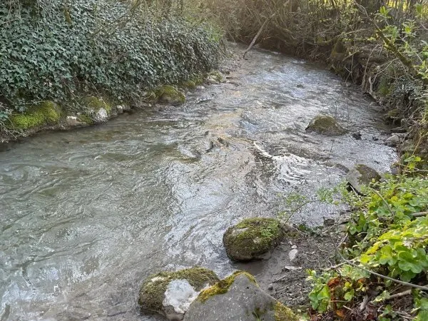 Terrain de loisir