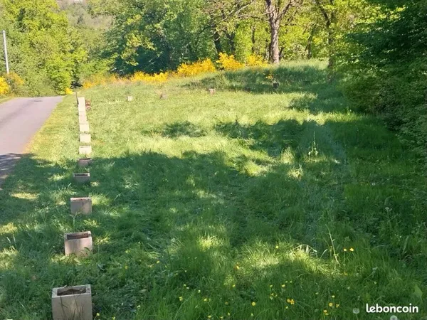 Terrain de loisir